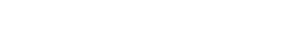 Websiya Digital Solutions